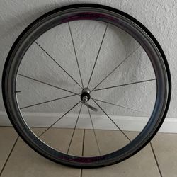 700C Campagnolo Shamal 12-HPW Titanium Front Wheel,