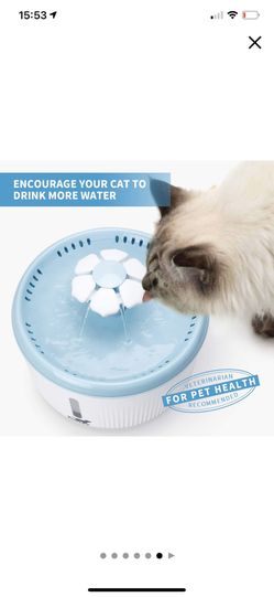 Pet Water Fountain