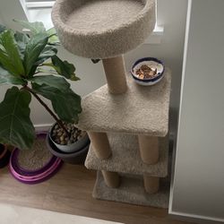 Cat Tree And Other Cat Things 