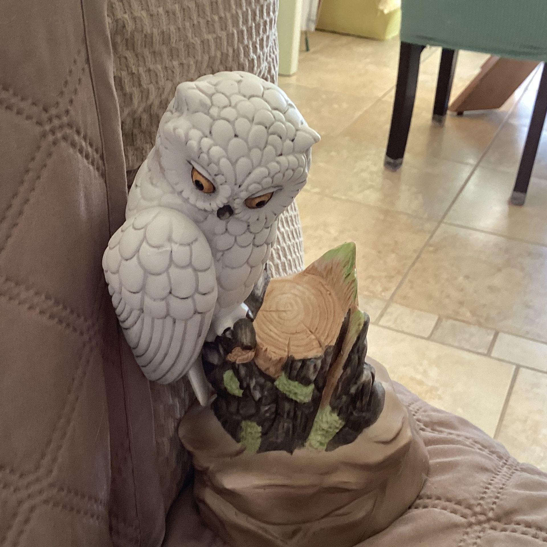 Musical Owl