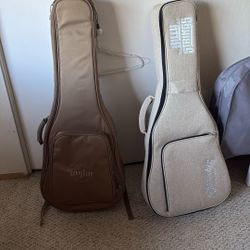 Guitar Case
