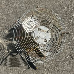 AC Fan