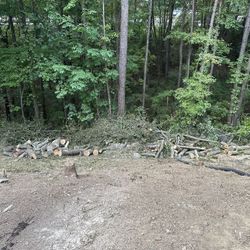 Free Fire Wood