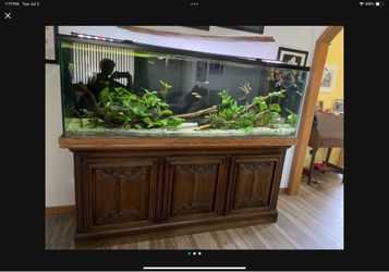 130 Gallon Aquarium Bundle with Fluval Filter