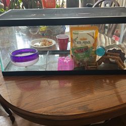 For A Snake Or Hamster Or turtle