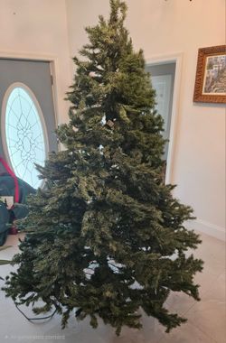 7ft (56" width) Christmas Tree (bulb out only, partially lit)