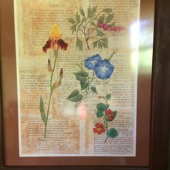 Beautiful Framed & Matted Sonnet Art