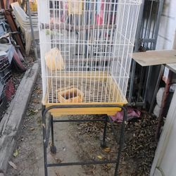 Bird Cage 