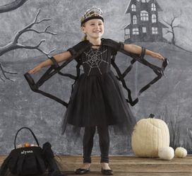 Pottery Barn Kids Spider Queen Costume (11/12)