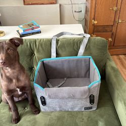 Small dog Car Seat 