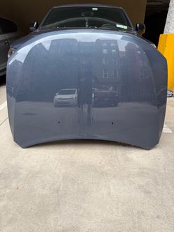 Car Hood Panel Gray OEM