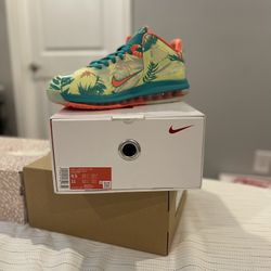Lebron James Palmers Size 9.5