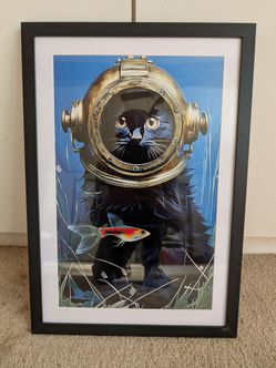 Cheap Cool Framed Art 13x19 black frame matted $25