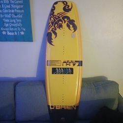 Rail 137 O'Brien Wakeboard 