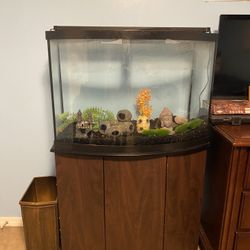 40 gal bowfront