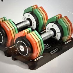 Adjustable Dumbbells 