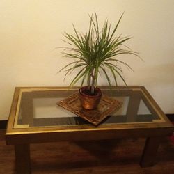 Gold Coffee Table