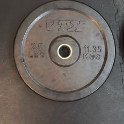 25 Lb VTX Bumper plates (pair)