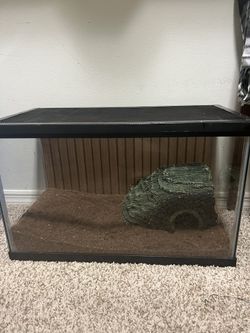 Reptile Tank