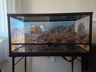 Reptile enclosure