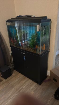 Fish Tank