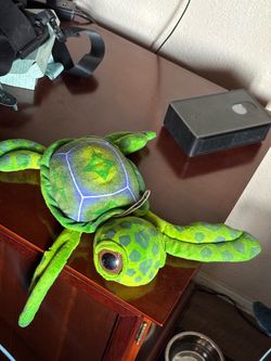 Shedd Aquarium Fiesta 17.5” Green Big-Eyed Sea Turtle Plush – Great Condition