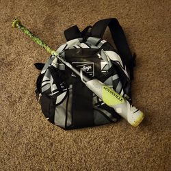 Baseball Bat And Bag