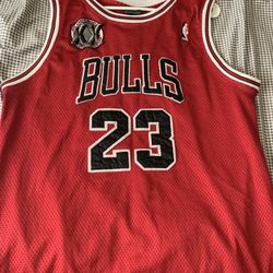 Rare Chicago Bulls Micheal Jordan 20th Anniversary 1st Championship Jersey