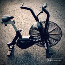 Rogue Fitness Echo Air Bike - Garage Gym Hunter Certified 🏆