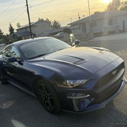 2019 Ford Mustang