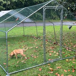 Metal Chicken Run Coop