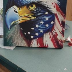 Eagle Picture