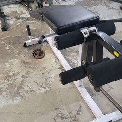 Leg Curl Machine 