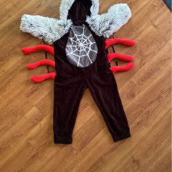 Size 3 Spider Costume 