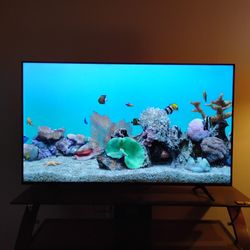 Hisense 58" 4K Television 