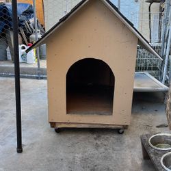 Dog House 