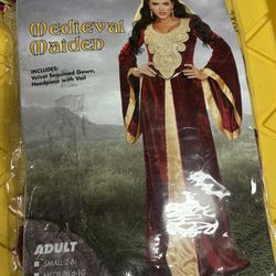 Tried In Not Worn. Adult Large Costume
