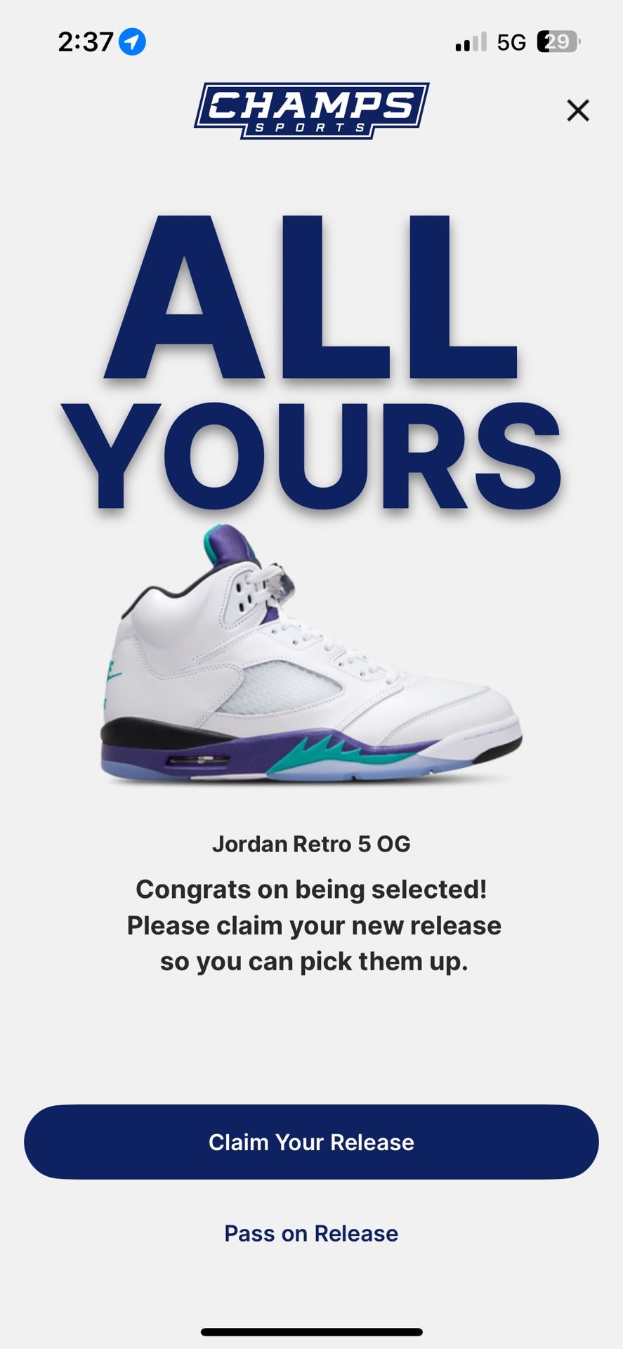 Air Jordan Retro 5 Grape