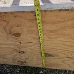 Plywood For Sale!