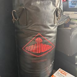 Century Boxing/ Kickboxing Heavy Bag