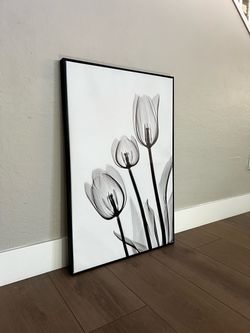 36x24 Large Floating Framed Black and White Tulip Floral Canvas Artwork