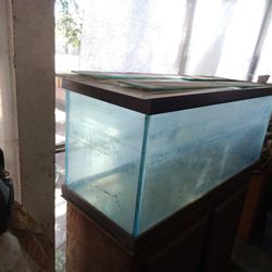 150 Saltwater Fish Tank