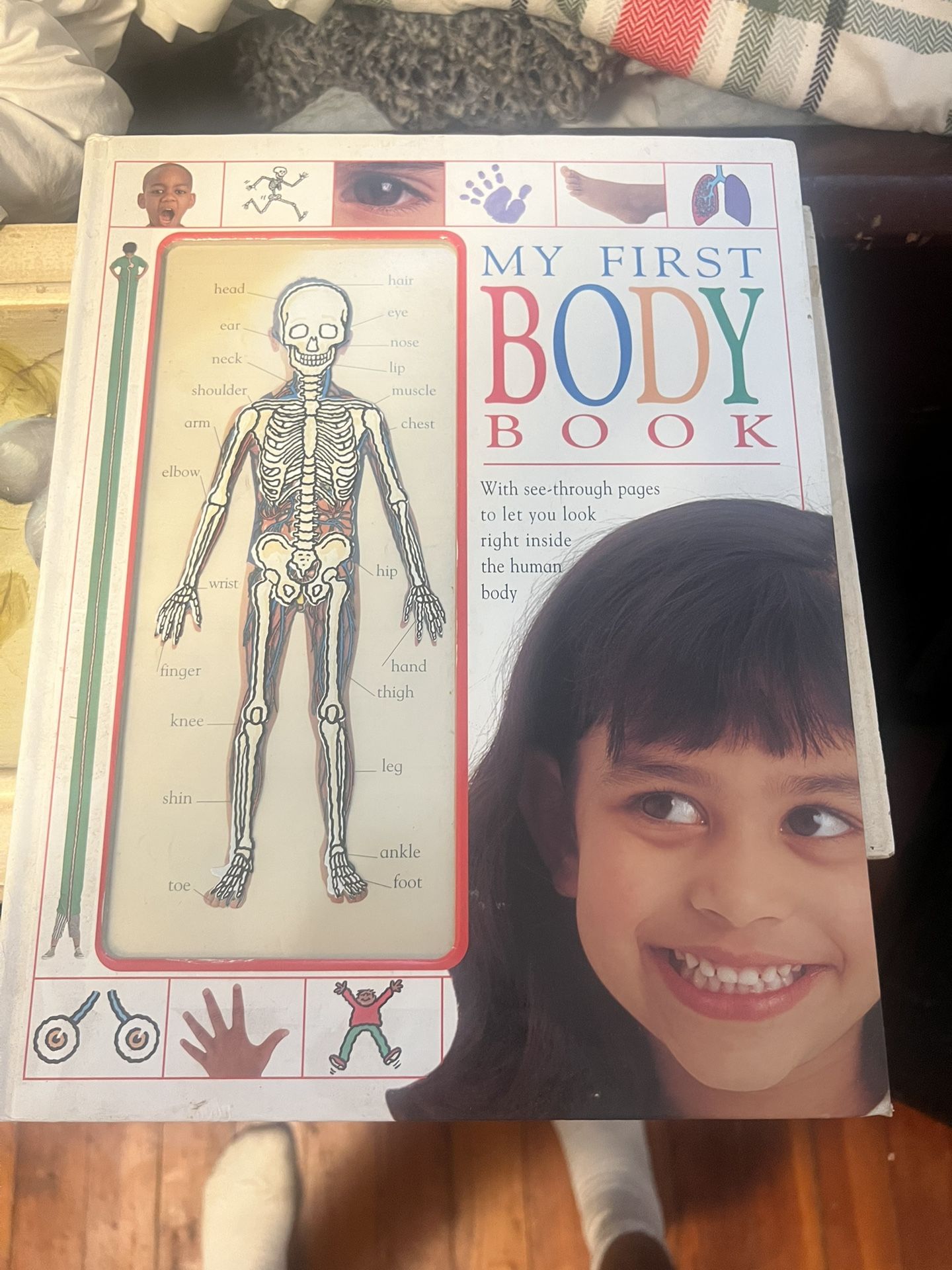 DK ‘My First Body Book’ – Interactive Children’s Anatomy Guide with See-Through Pages