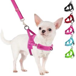 SlowTon No Pull Small Dog Harness And Leash Set, Adjustable