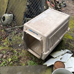 Dog Kennel 