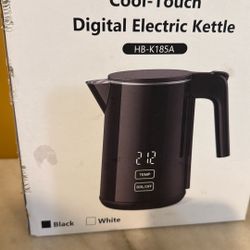 Electric Kettle 