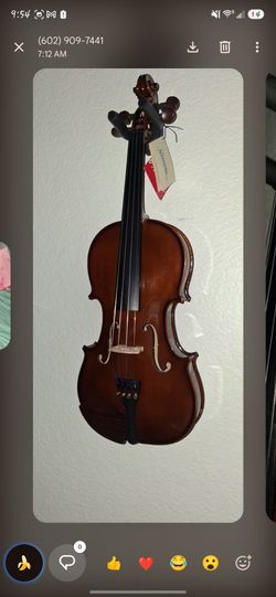 Beautiful Violin