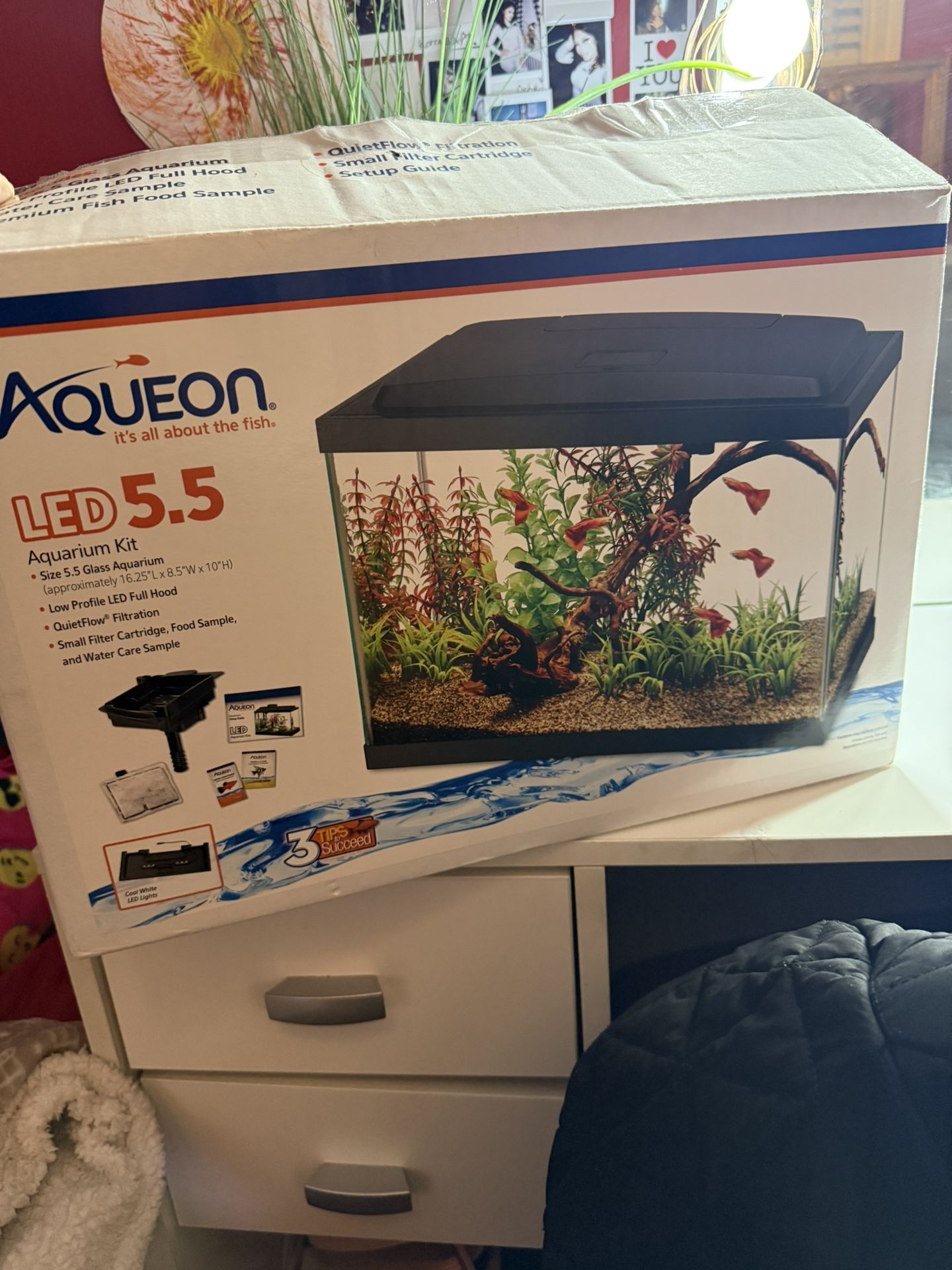 Aqueon Fish Tank