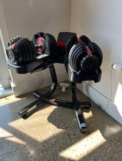 Bowflex SelectTech 552 Adjustable Dumbbells (Pair) and Stand Bundle
