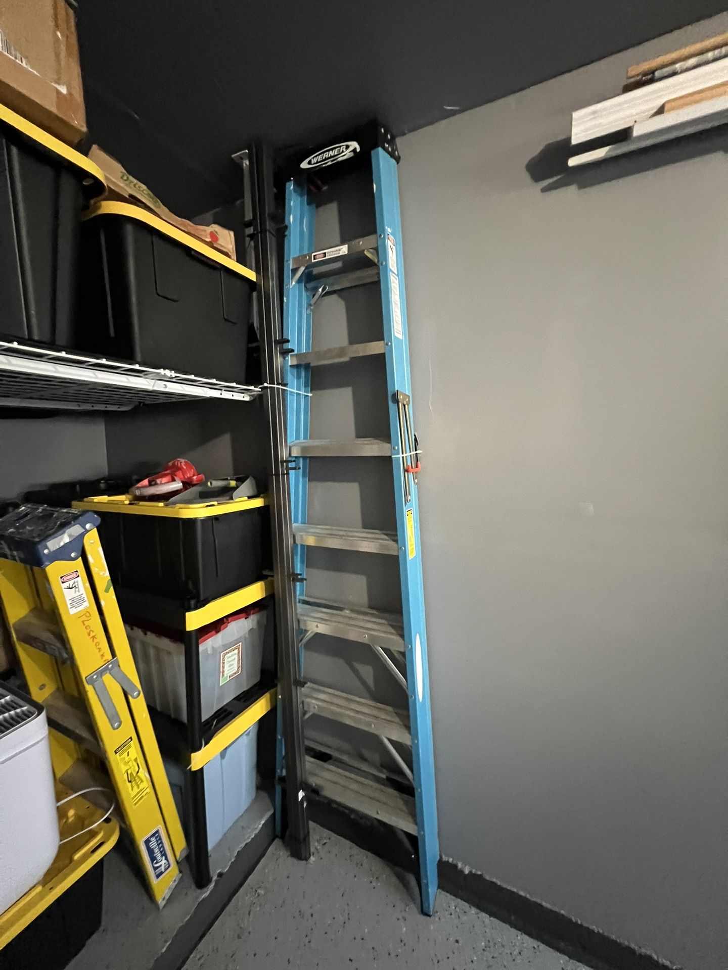 Werner 8 Foot Ladder